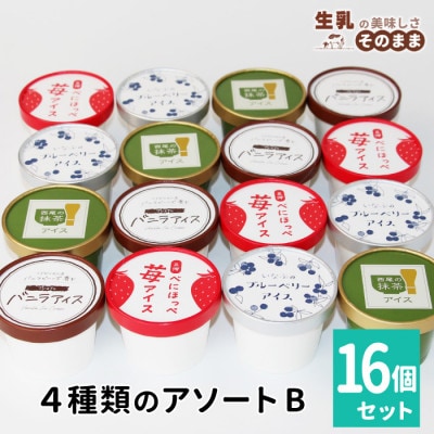 4種類のアソートB　16個入り　バニラアイス　ブルーベリーアイス　紅ほっぺいちご　西尾抹茶アイス