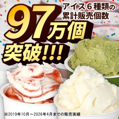4種類のアソートB　16個入り　バニラアイス　ブルーベリーアイス　紅ほっぺいちご　西尾抹茶アイス