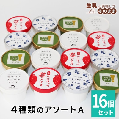 4種類のアソートA　16個入り 生ソフトアイス ブルーベリーアイス 紅ほっぺいちご 西尾の抹茶