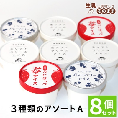 3種類のアソートA　8個セット 生ソフトクリームアイス ブルーベリーアイス 紅ほっぺいちごアイス