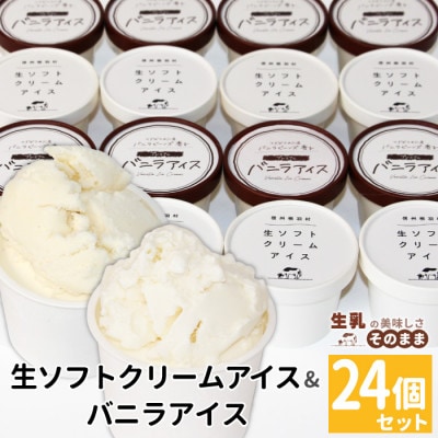 食べ比べ!24個セット　生ソフトクリームアイス&バニラアイスクリーム