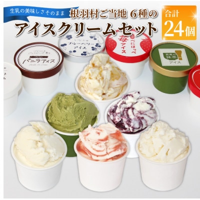根羽村 ご当地アイス 6種のアソート 24個セット《80ml×24》