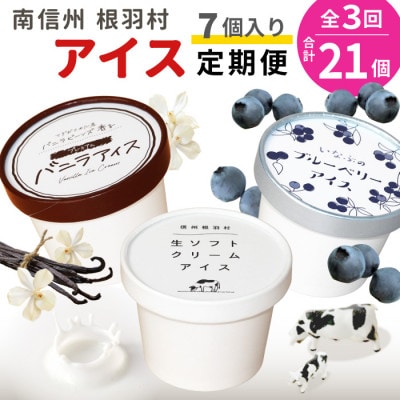 【毎月定期便】3種類のアイス定期便☆南信州根羽村産アイス が毎月7個届く! 合計21個全3回