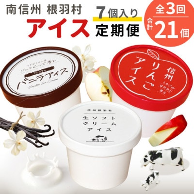 【毎月定期便】3種類のアイス定期便☆南信州根羽村産アイス が毎月7個届く! 合計21個全3回