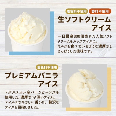 【毎月定期便】アイス定期便☆ 南信州根羽村産アイス が毎月7個届く! 合計42個全6回