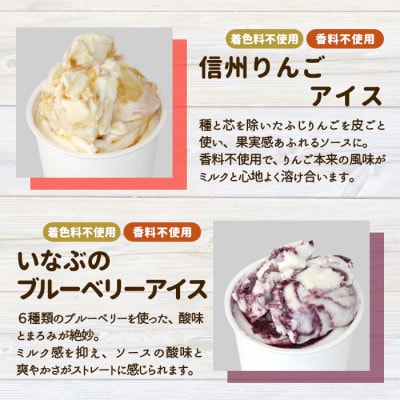 【毎月定期便】アイス定期便☆ 南信州根羽村産アイス が毎月7個届く! 合計42個全6回