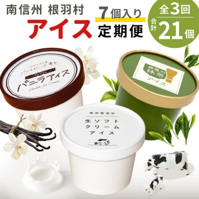【毎月定期便】3種類のアイス定期便☆南信州根羽村産アイス が毎月7個届く! 合計21個全3回