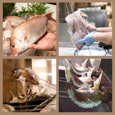 《瀬戸内天然真鯛500g 炭火焼》お頭付き祝い鯛　レシピ・祝い飾り付き