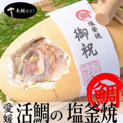 《中》愛媛活鯛の塩釜焼　祝い飾り(化粧箱・木槌付き)