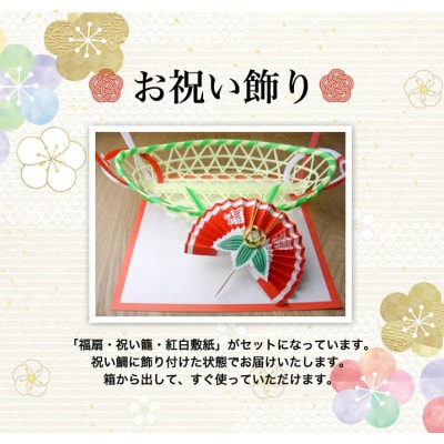 《愛媛真鯛1.2kg 炭火焼》お頭付き祝い鯛　レシピ・祝い飾り付き