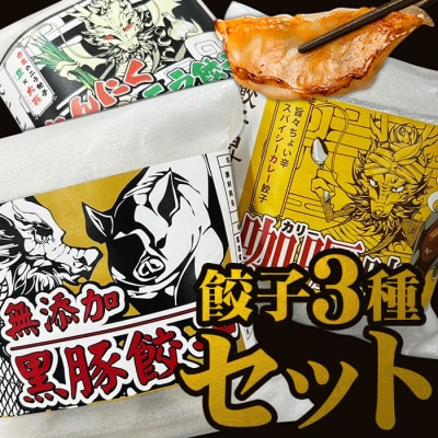餃子3種類　合計70個　タレ付き