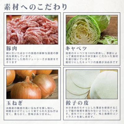 昇龍庵のスパイシーカレー餃子　合計75個