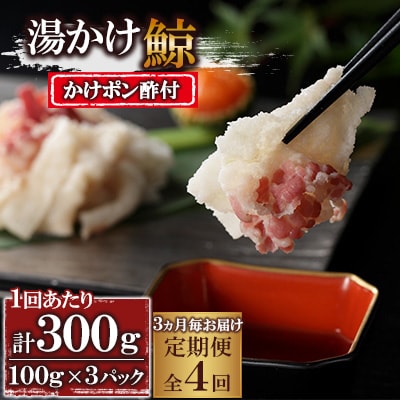 【3ヵ月毎定期便】湯かけ(100g×3)全4回