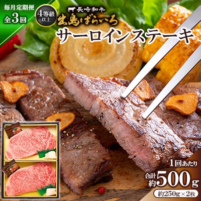 【毎月定期便】長崎和牛・出島ばらいろ サーロインステーキ約250g×2枚入り(4等級以上)全3回