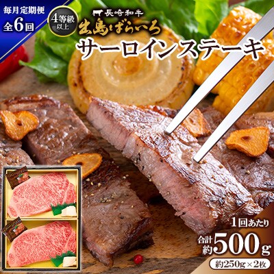 【毎月定期便】長崎和牛・出島ばらいろ サーロインステーキ約250g×2枚入り(4等級以上)全6回