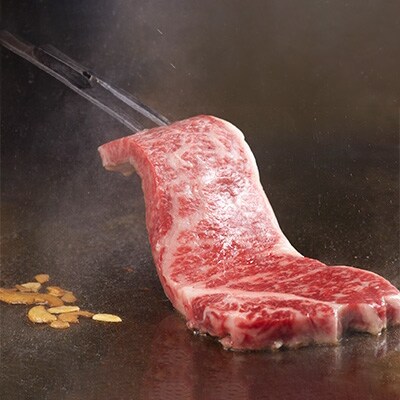 【毎月定期便】長崎和牛・出島ばらいろ サーロインステーキ約250g×2枚入り(4等級以上)全6回