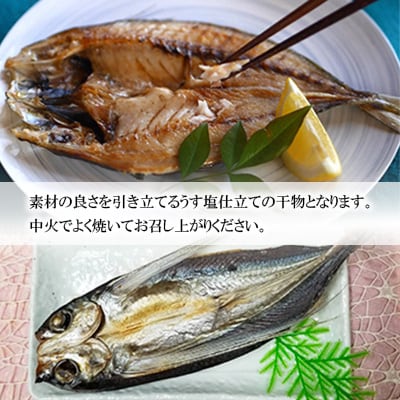 【2ヵ月毎定期便】長崎五島灘一汐干しセット全6回
