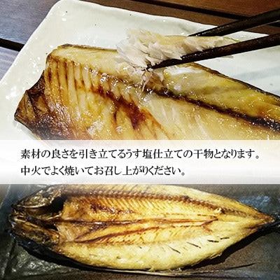【毎月定期便】長崎五島灘一汐干しセット全6回