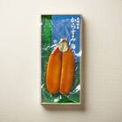 創業安政6年 本場長崎の老舗からすみ店 【薄塩からすみ230g】