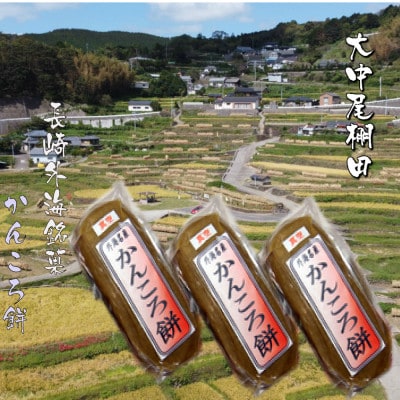 長崎外海 手作りかんころもち3本セット