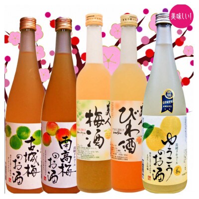 長崎特産梅酒・フルーツ酒のみくらべ全5本/南高梅酒・古城梅酒・ゆうこうのお酒・美人びわ酒・美人梅酒