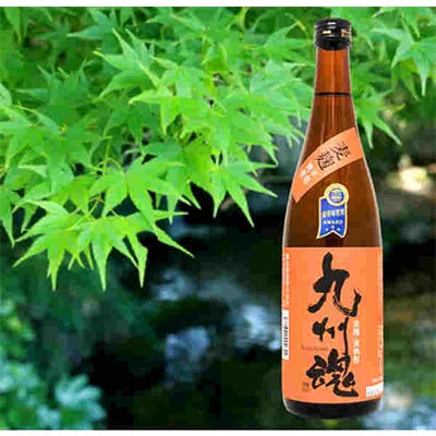 【発送月固定定期便】麦長崎焼酎飲み比べセット/九州魂 軍艦島 720ml 2本箱入 全2回