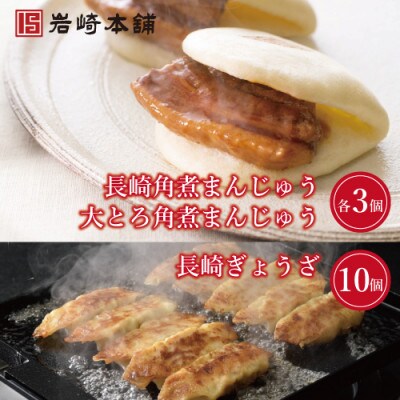 【毎月定期便】岩崎本舗　角煮まん2種・ぎょうざセット(角煮まん各3個・ぎょうざ10個)長崎市 全6回