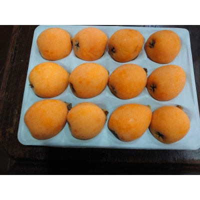 長崎特産「茂木びわ」2L玉12玉入り