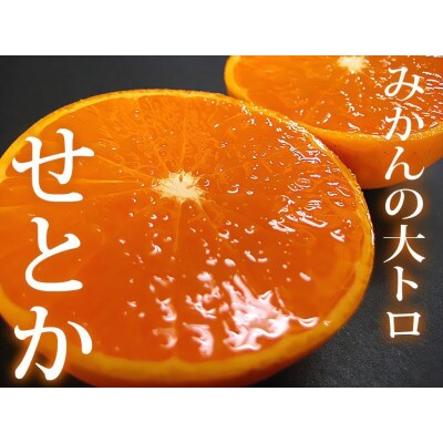 長崎県産　甘熟せとか2L～3L　8～12玉(約3Kg)