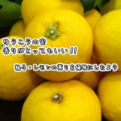 長崎 米麹ゆうこう甘酒 900ml/12本セット
