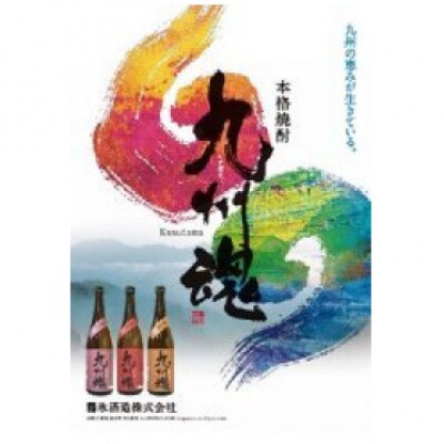 【毎月定期便】九州魂焼酎3種飲み比べセット 720ml×3本全3回