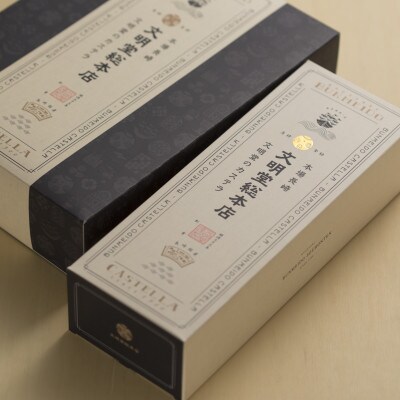 【毎月定期便】文明堂 長崎カステラ2号(1号10切入×2本入)(長崎市)全12回