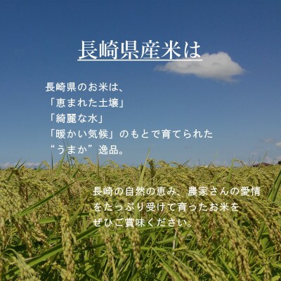 【令和6年産】無洗米 長崎つや姫 計10kg(2.5kg×4袋)