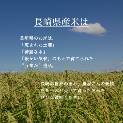【令和6年産】無洗米 長崎なつほのか 計5kg(2.5kg×2袋)