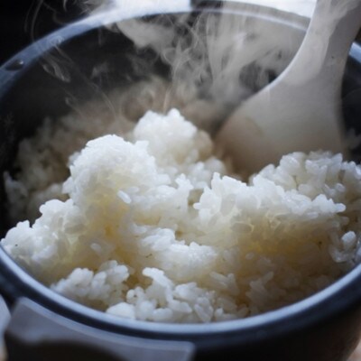 【令和5年産】冷めてもおいしい!長崎ヒノヒカリ 10kg