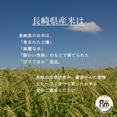 【令和5年産】強い甘みと旨味!長崎こしひかり 10kg