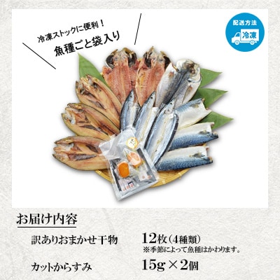【長崎加工】　訳ありおまかせ干物　4種類(12枚) とカラスミ詰め合わせ