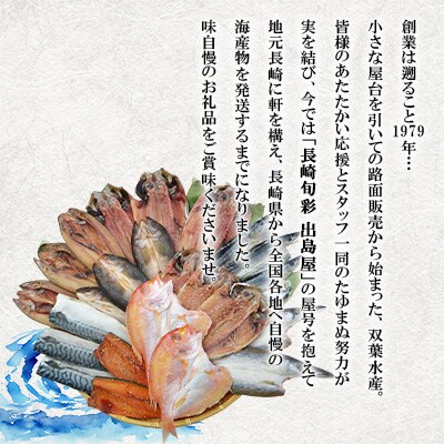 【毎月定期便】【長崎加工】訳ありおまかせ干物セット8種類(24枚)全6回