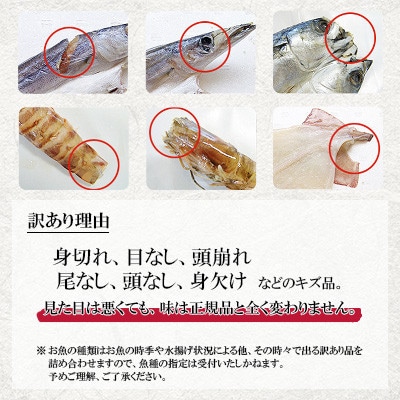 【毎月定期便】【長崎加工】訳ありおまかせ干物セット8種類(24枚)全12回