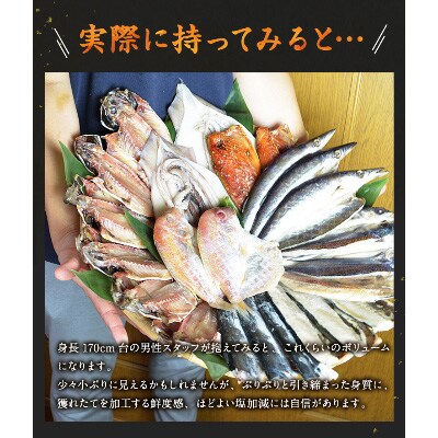 2023年1月発送開始『定期便』【長崎加工】訳ありおまかせ干物セット8種類(24枚)全3回