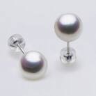 PT900/9.0mm アコヤ真珠　ピアス