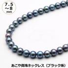あこや真珠(7.5-8mm、ブラック系)ネックレス