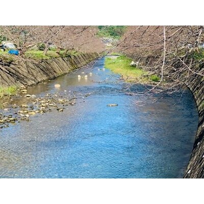 長崎県産「にこまる」3kg袋2セット