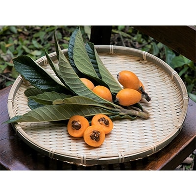 ビワの葉ごころ オマモリジェルクリーム50g【皮膚科医監修ドクターズコスメ】3点セット