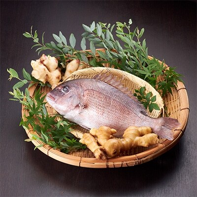 鮮度抜群の【五島産真鯛】を使用!割烹たなか《鯛の荒焚き》3~4人前