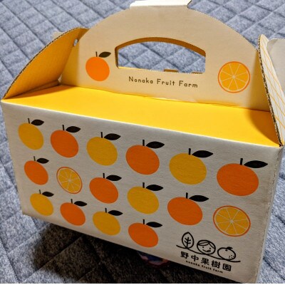 【2023年1月上旬より順次発送】ハウス完熟早生みかん　お試し約2キロ箱