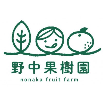 【2023年1月上旬より順次発送】ハウス完熟早生みかん　お試し約2キロ箱