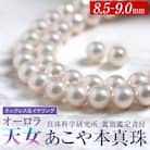 オーロラ天女 あこや真珠 8.5-9.0mm ネックレス イヤリング セット パール 鑑別鑑定書付