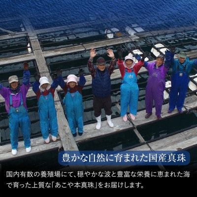 オーロラ天女 あこや真珠 8.5-9.0mm ネックレス イヤリング セット パール 鑑別鑑定書付
