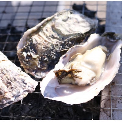戸石町産 殻付き真牡蠣 約4kg(約40個/加熱用)